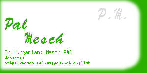 pal mesch business card